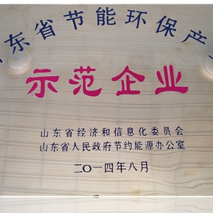 山东省节能环保产业示范企业